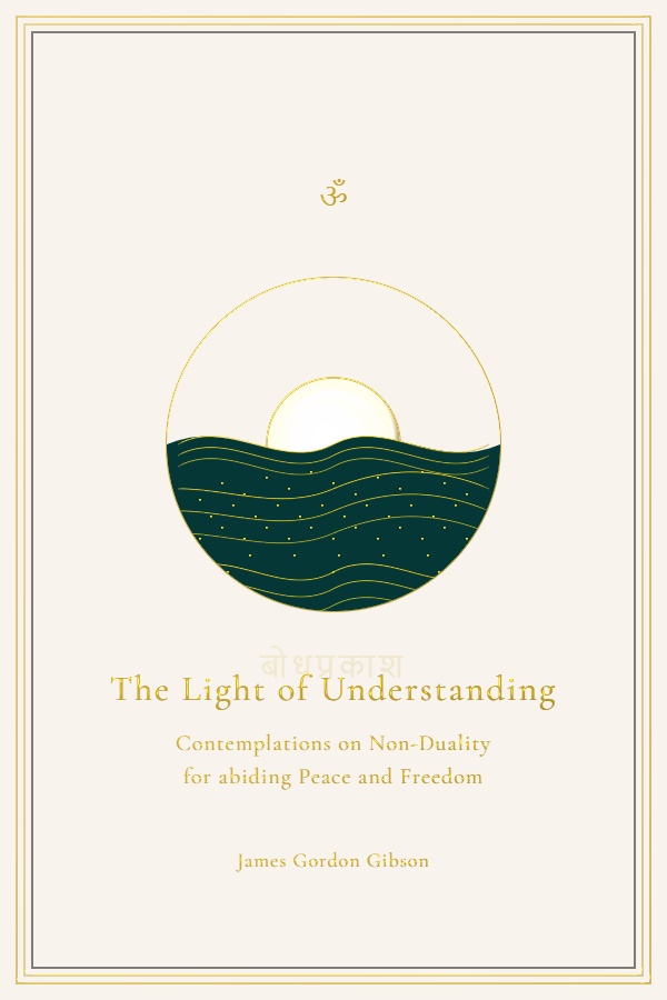 The Light of Understanding Book Cover